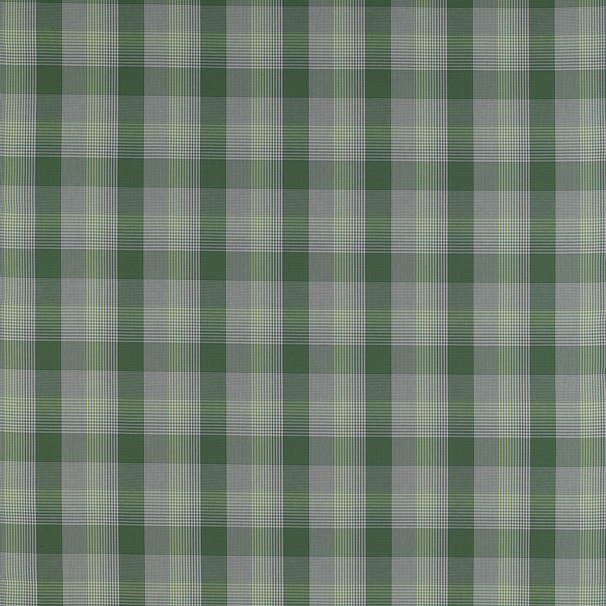 Preciados-Verde