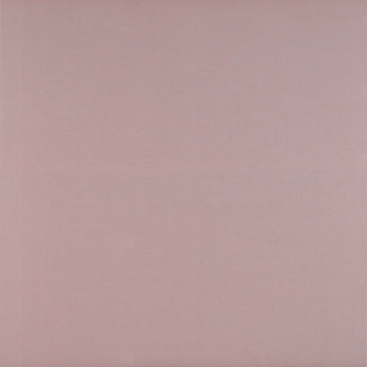 Recoletos-Rosa
