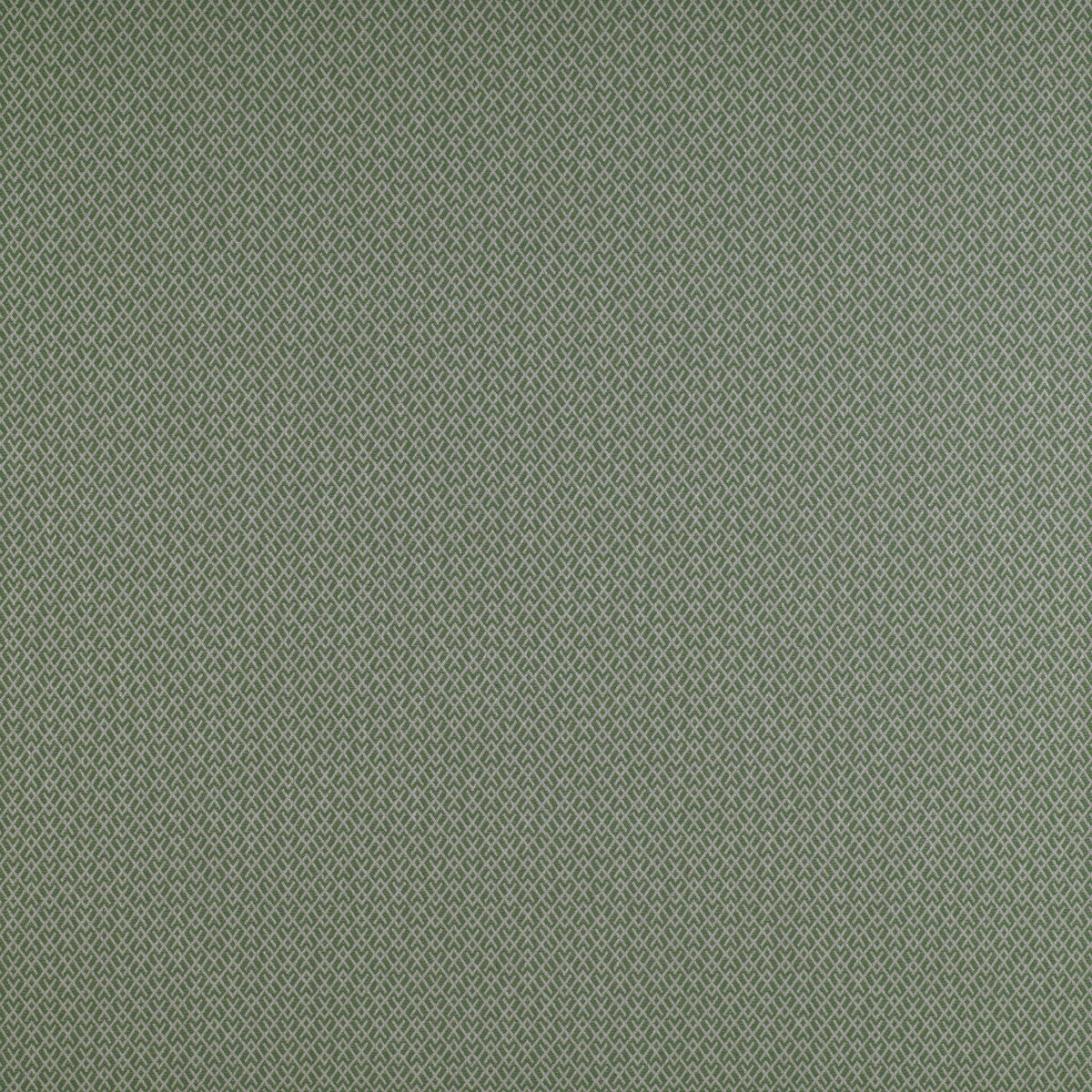 Chueca-Verde