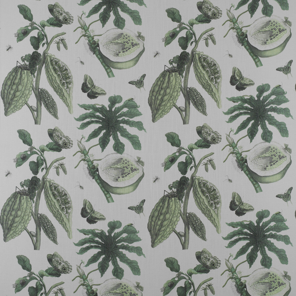 Retiro-Verde