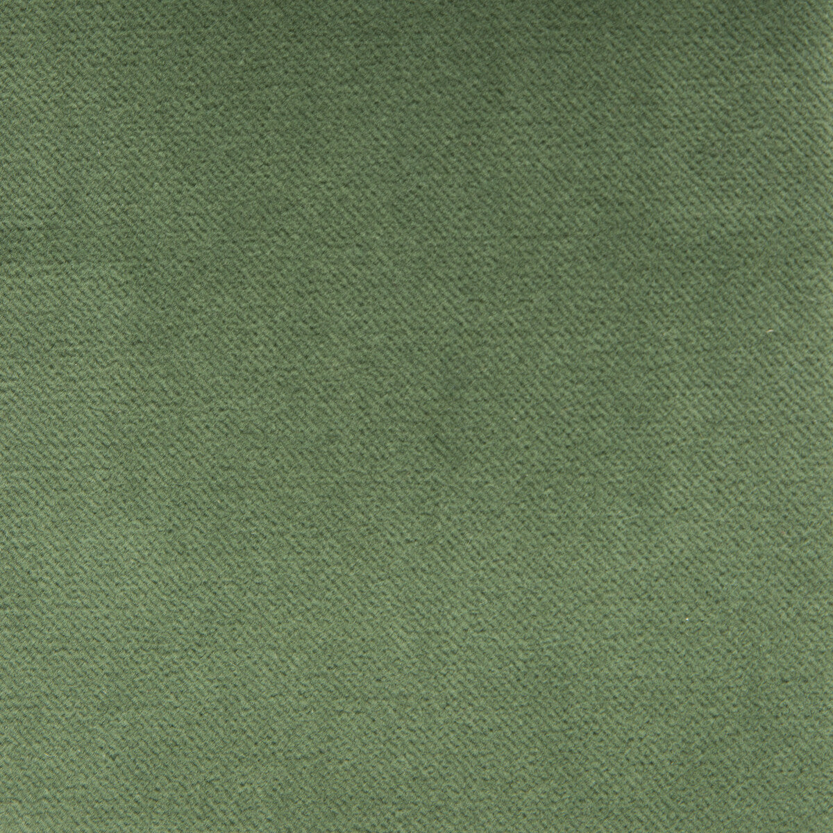 Venecia-Verde
