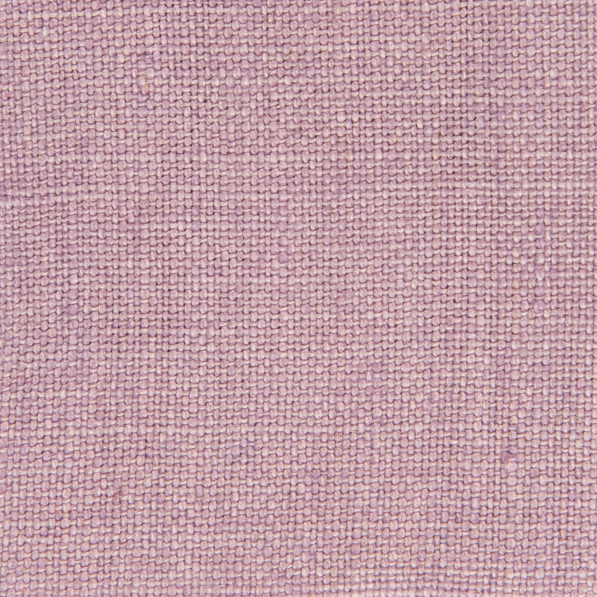 Nicaragua-Lavanda