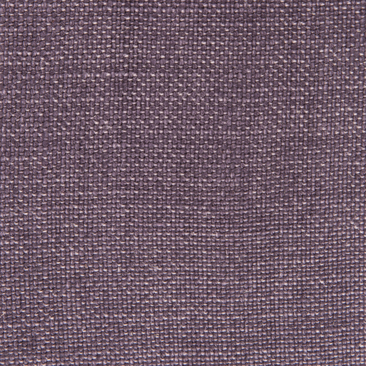 Nicaragua-Berenjena
