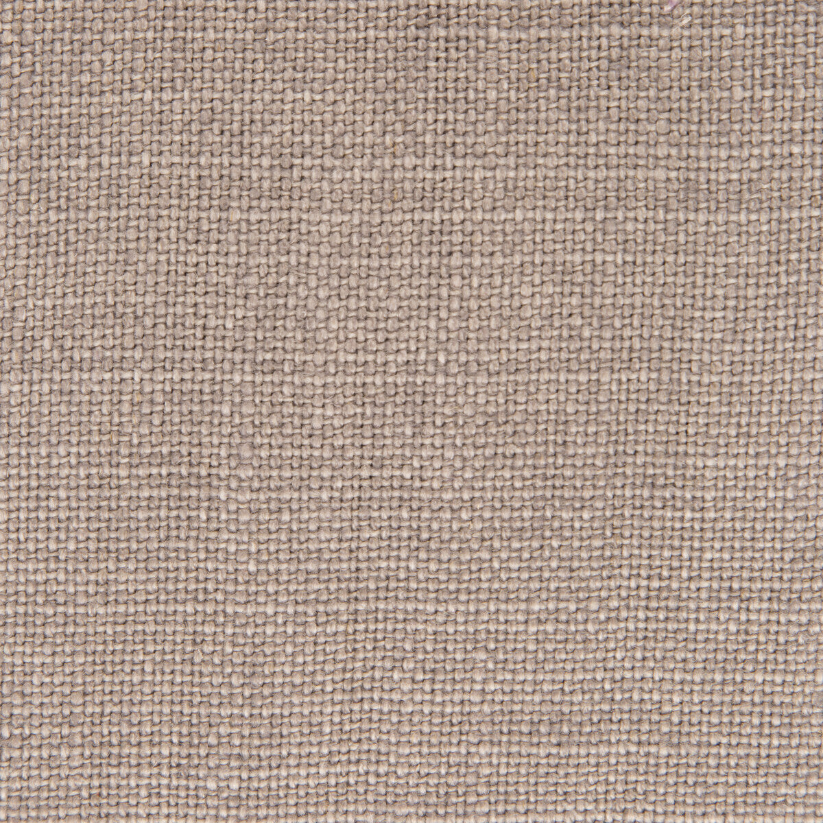 Nicaragua-Malva