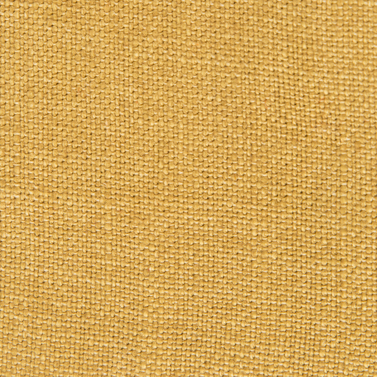 Nicaragua-Oro Viejo