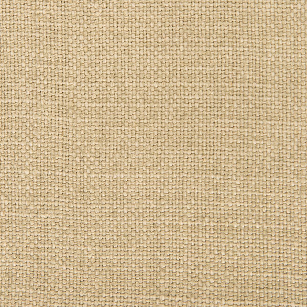 Nicaragua-Kaki