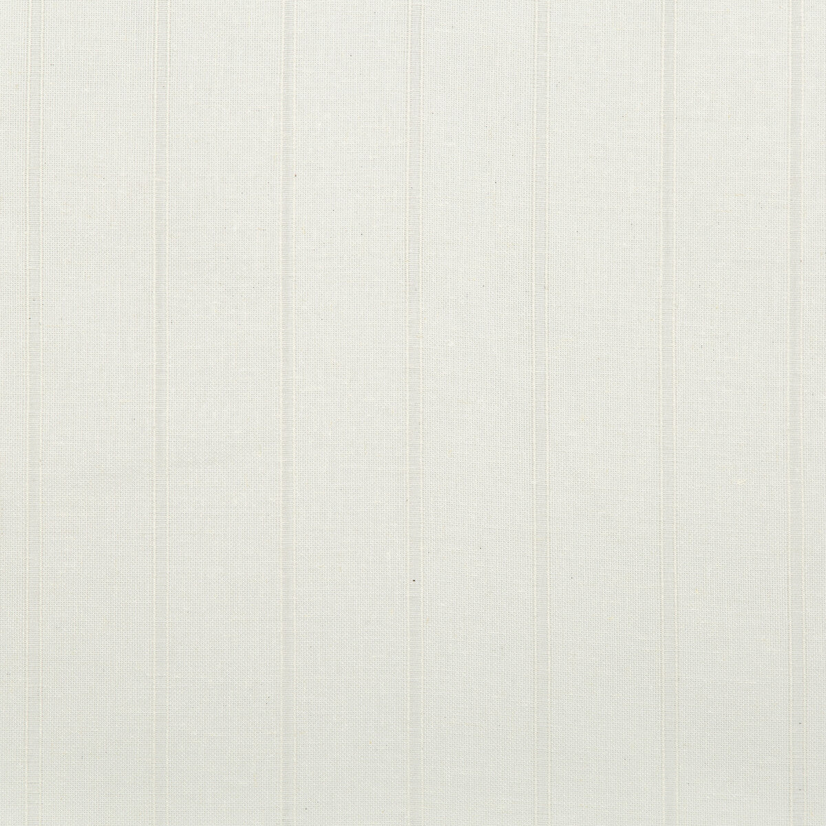 Rocha-01