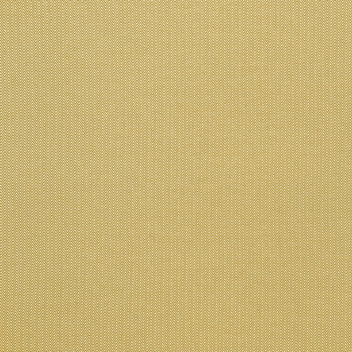 Donald-Amarillo