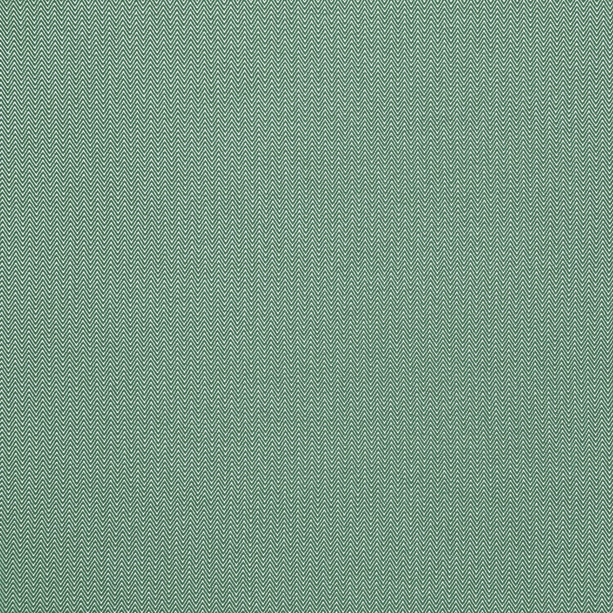 Donald-Verde