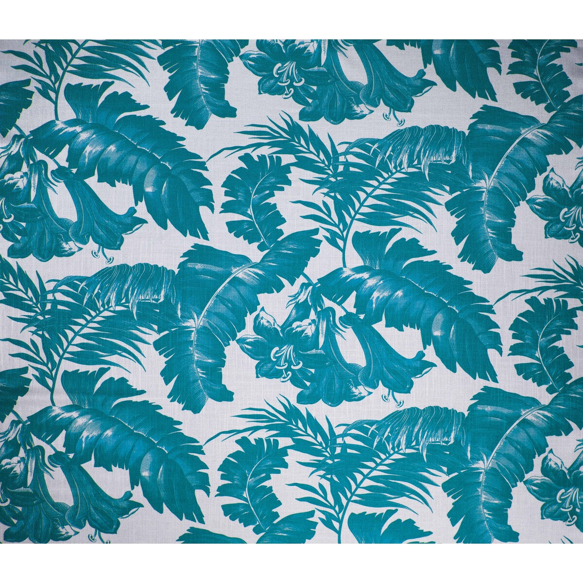 Plantation-Azul Oceano