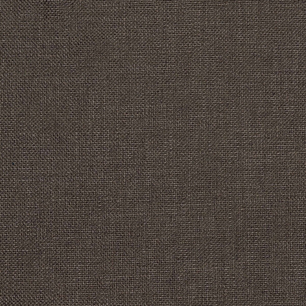 Shaba-Marron