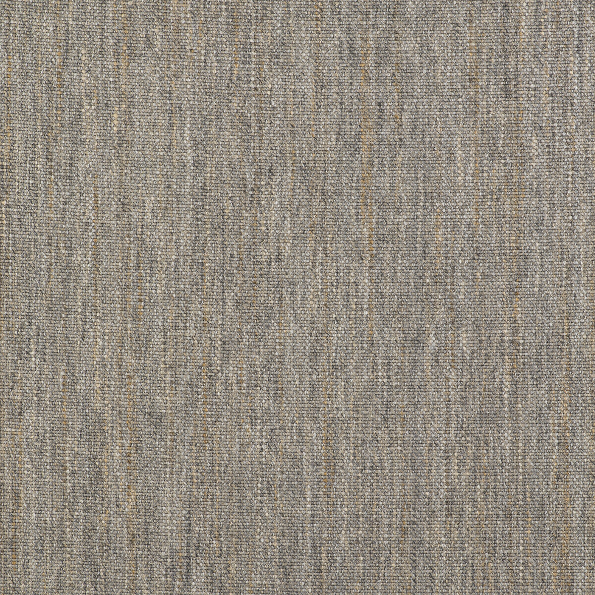 Sauce-Gris Perla