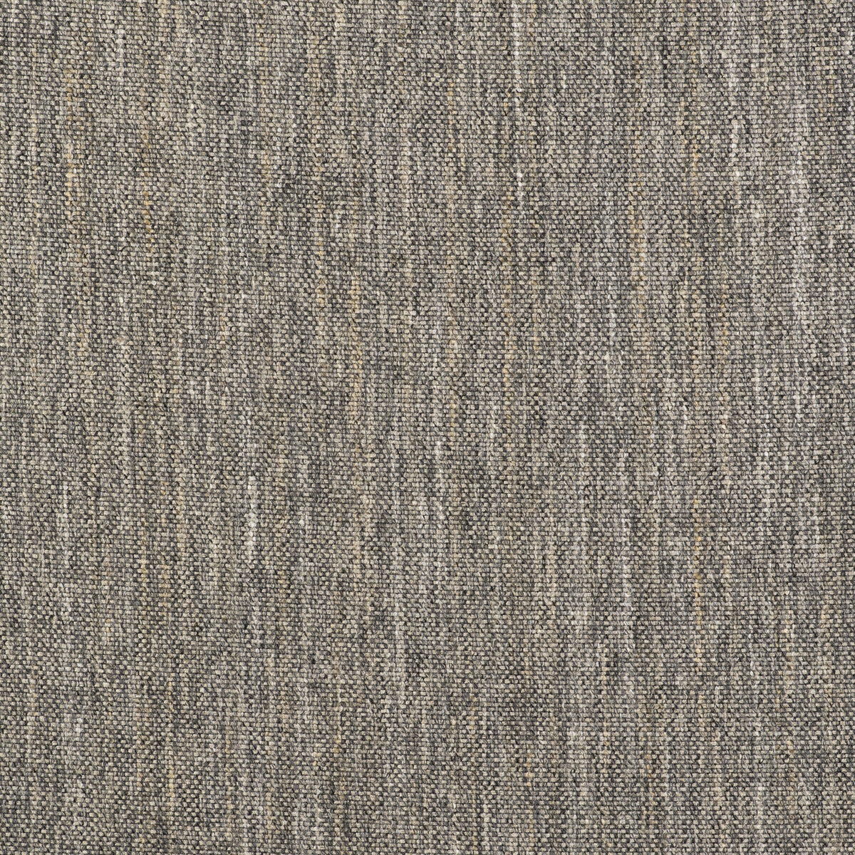 Sauce-Gris