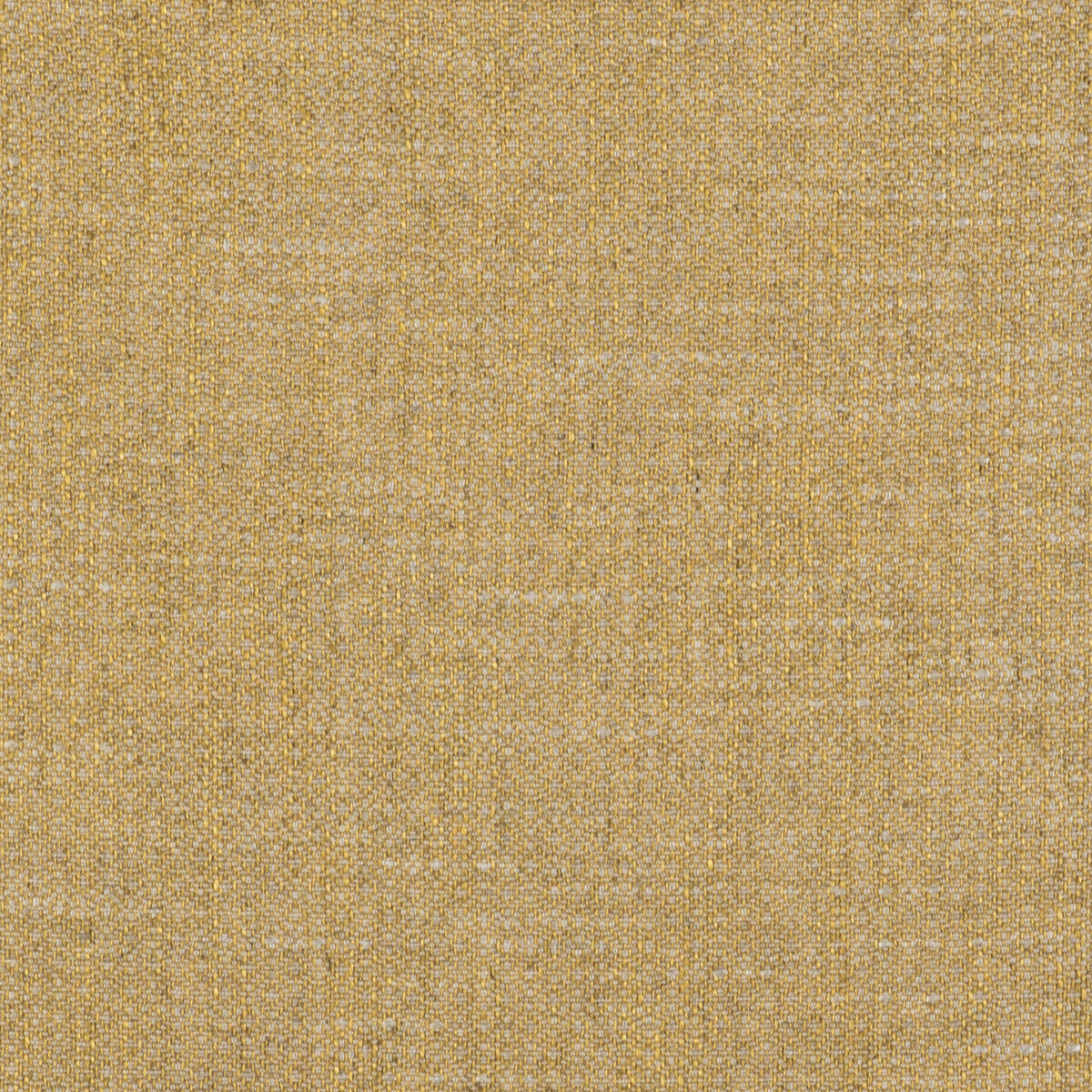 Semilla-Oro