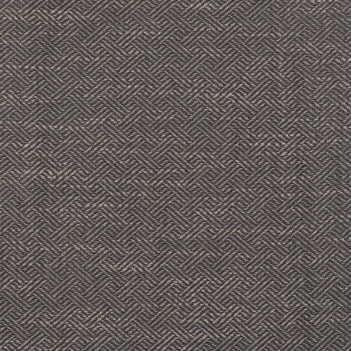 Enea-Gris