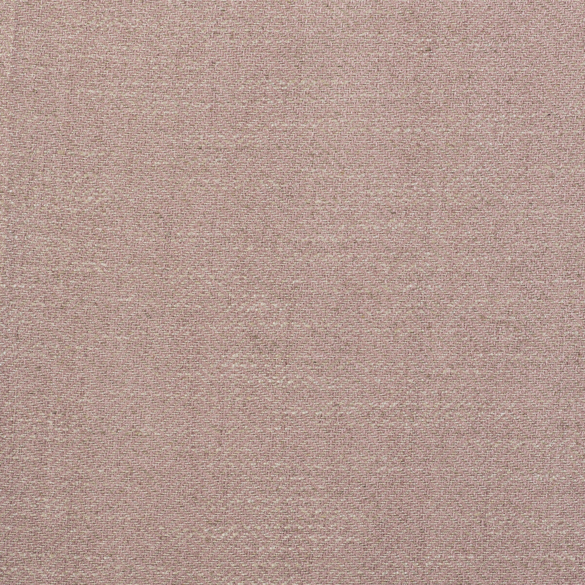 Enea-Rosa
