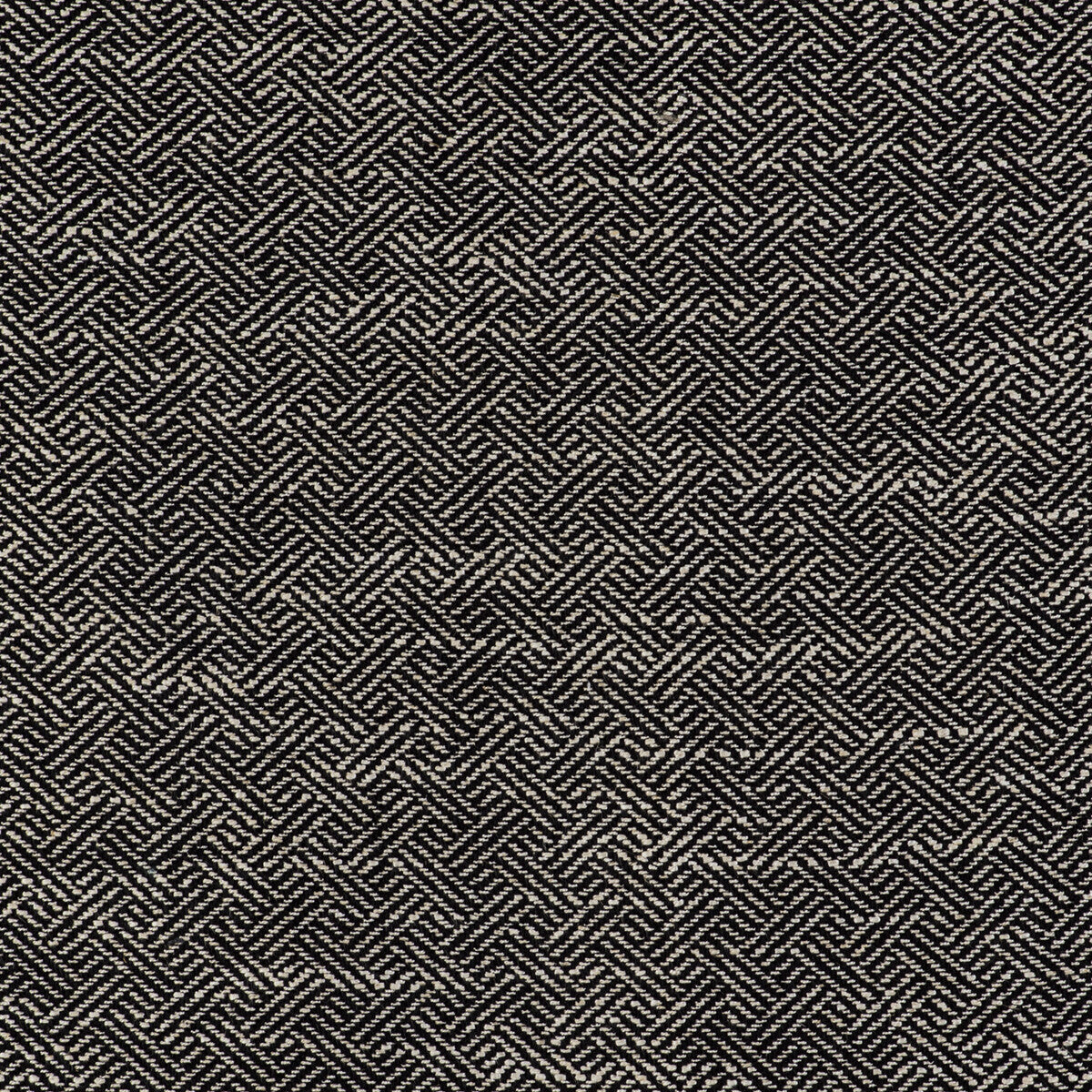 Enea-Negro