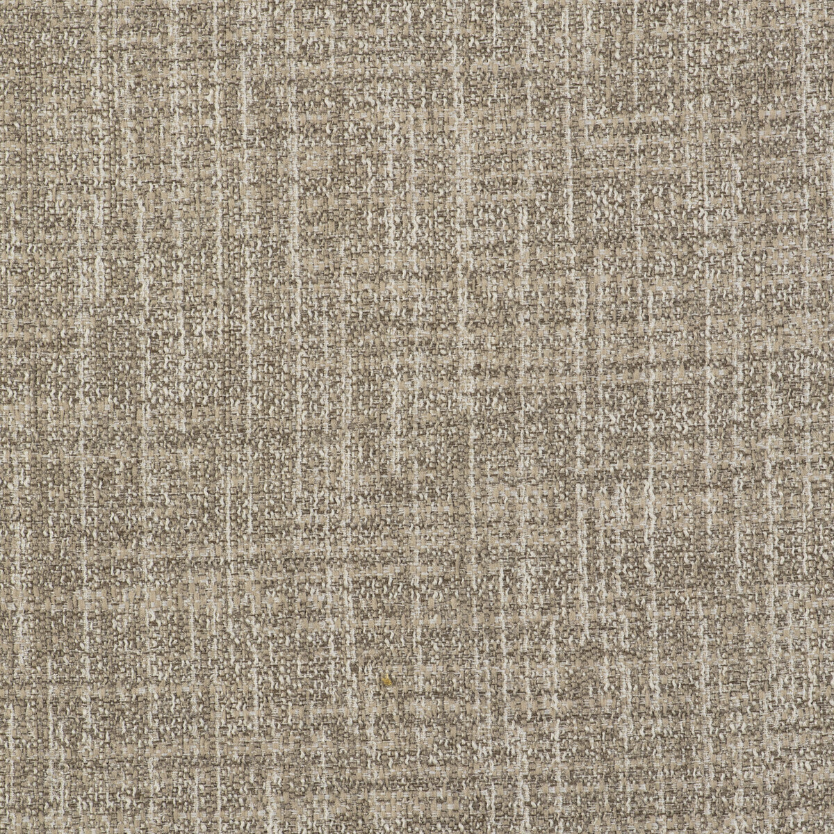 Olmo-Lino