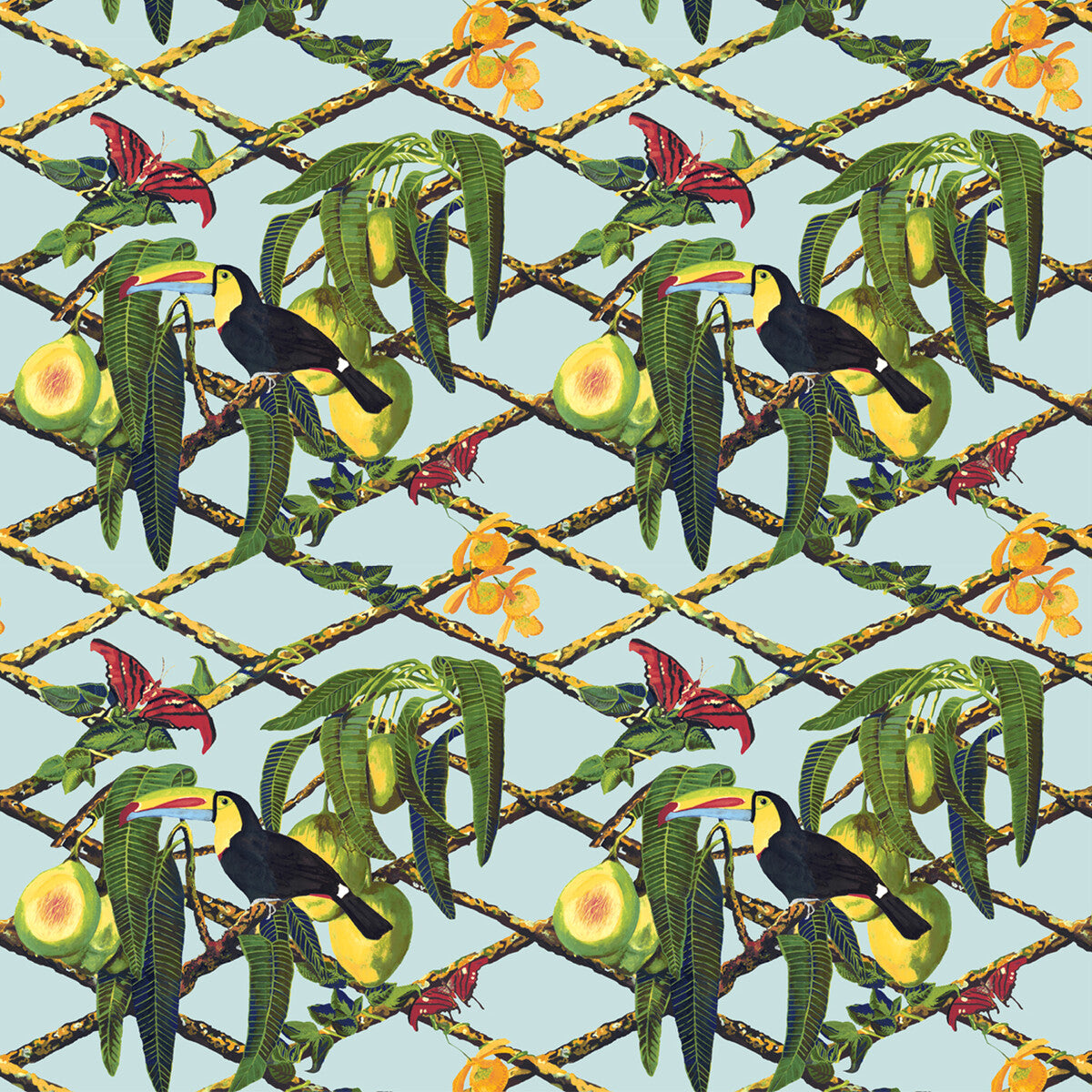 Tucan-Original