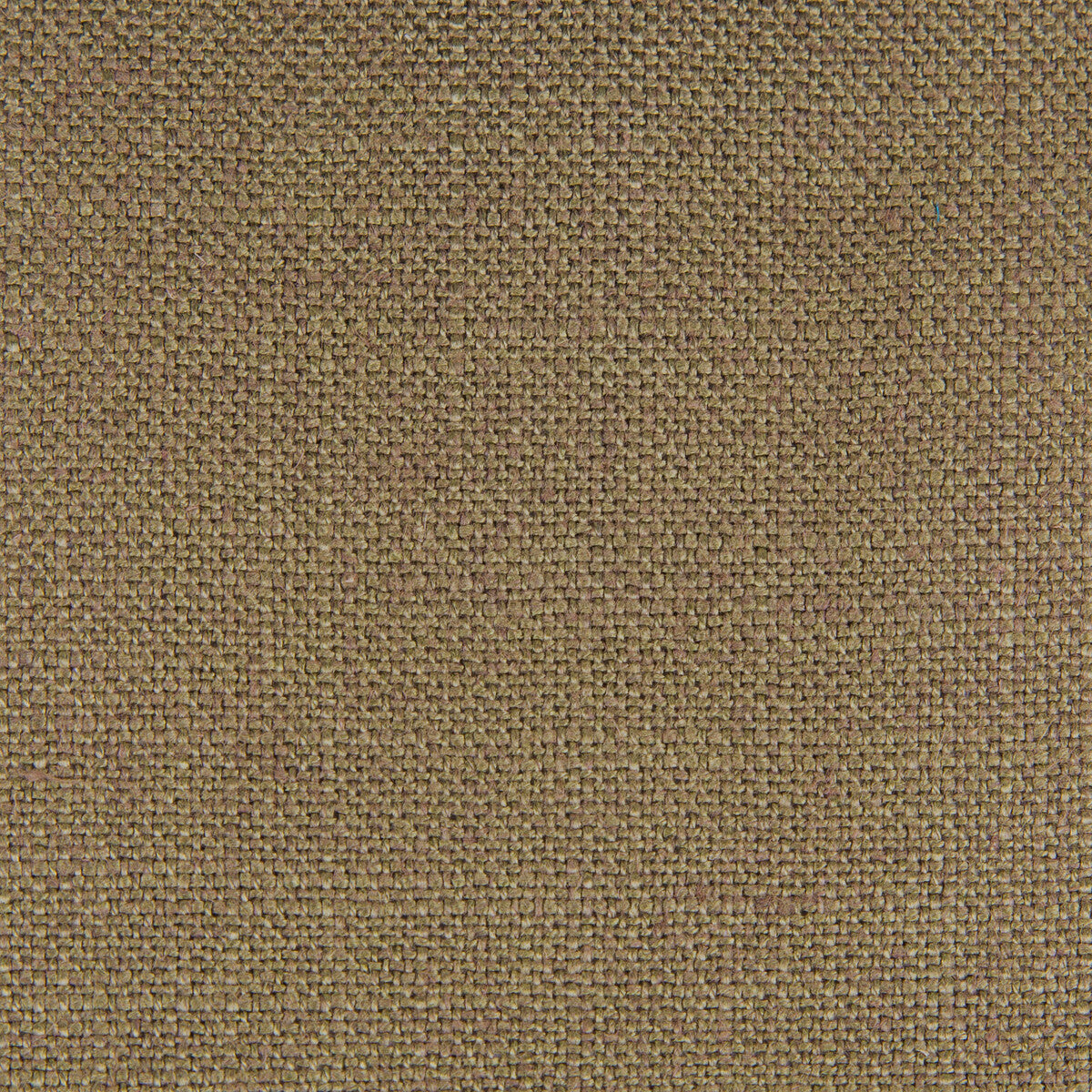 Peru-Kaki