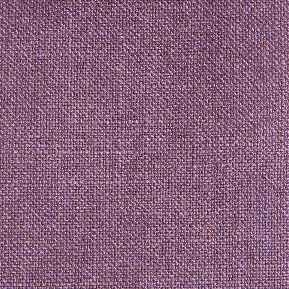Peru-Lavanda