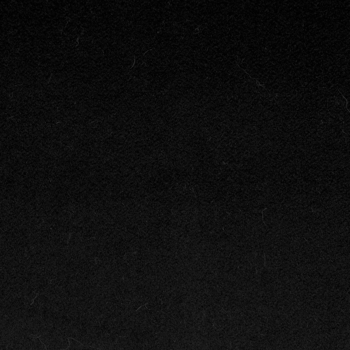 Denver-Black