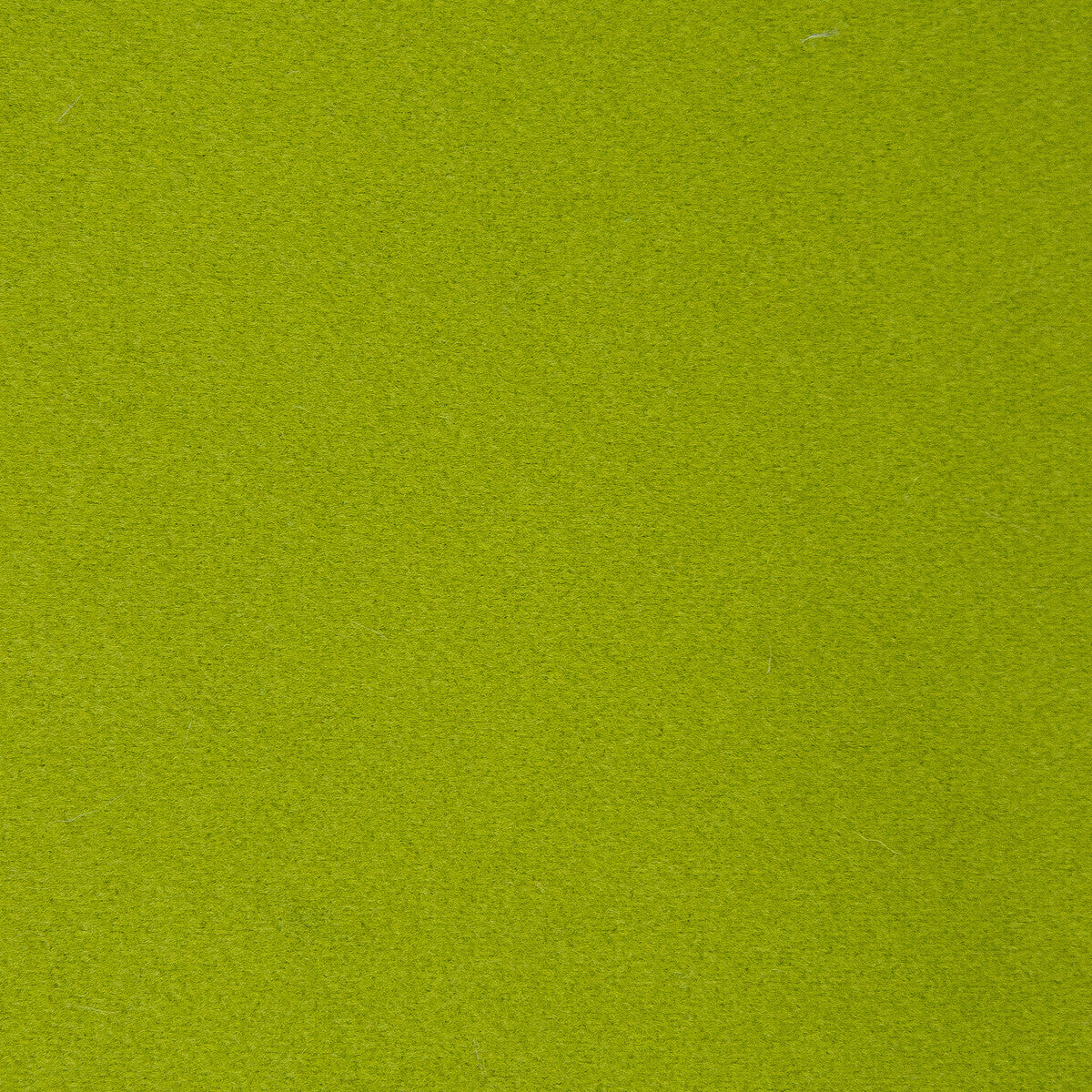 Denver-Verde