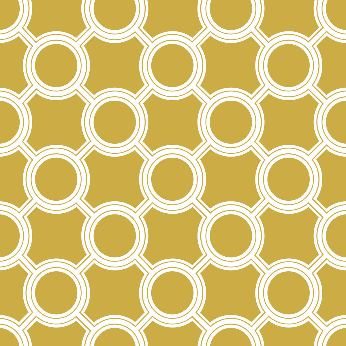 Aymara-Ocre