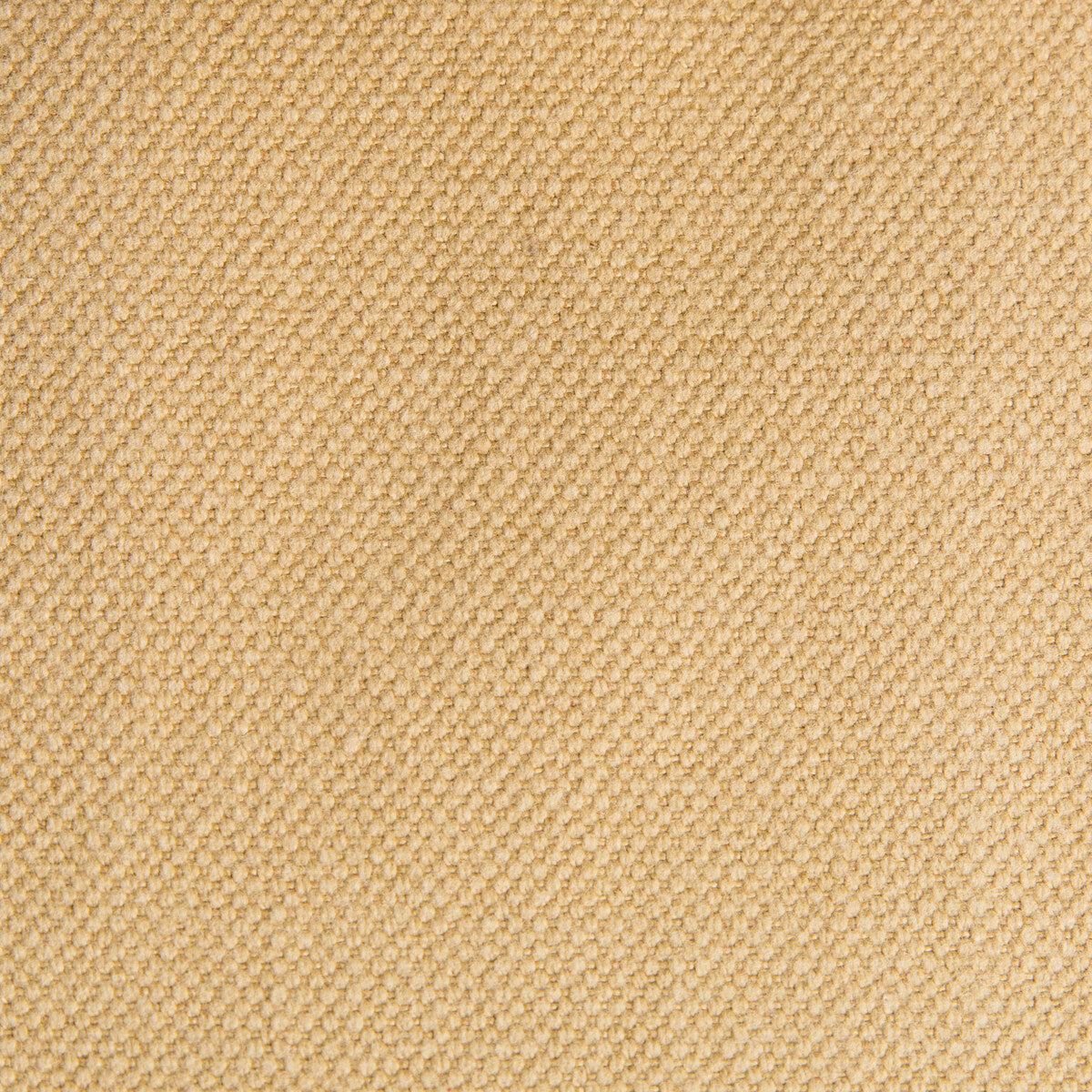 Lima-Camel