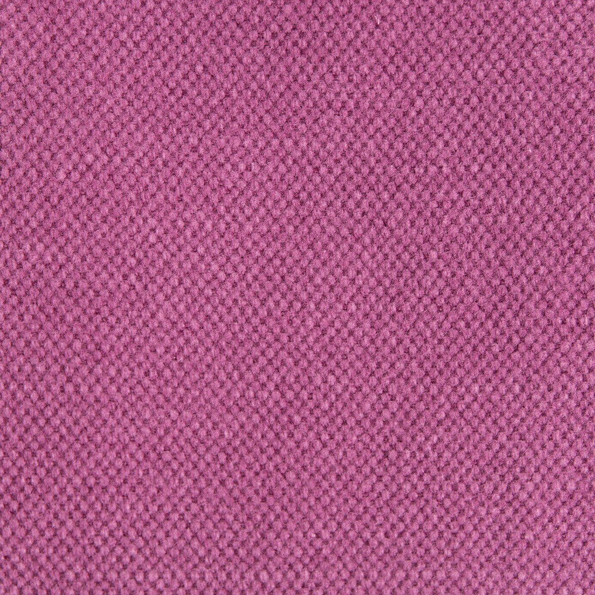 Lima-Magenta