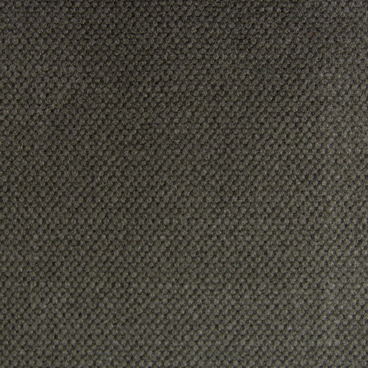 Lima-Musgo