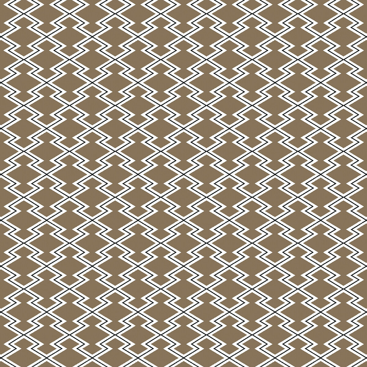 Hayami-Topo