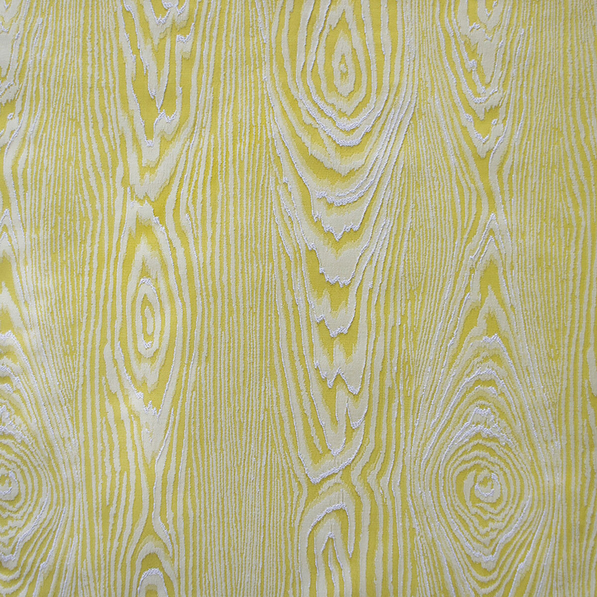 Haru-Amarillo