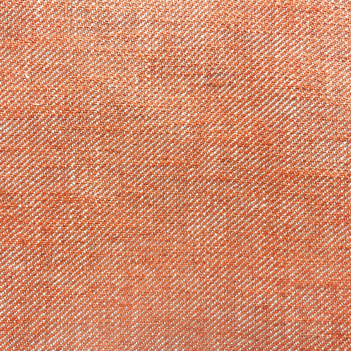 Hisa-Teja