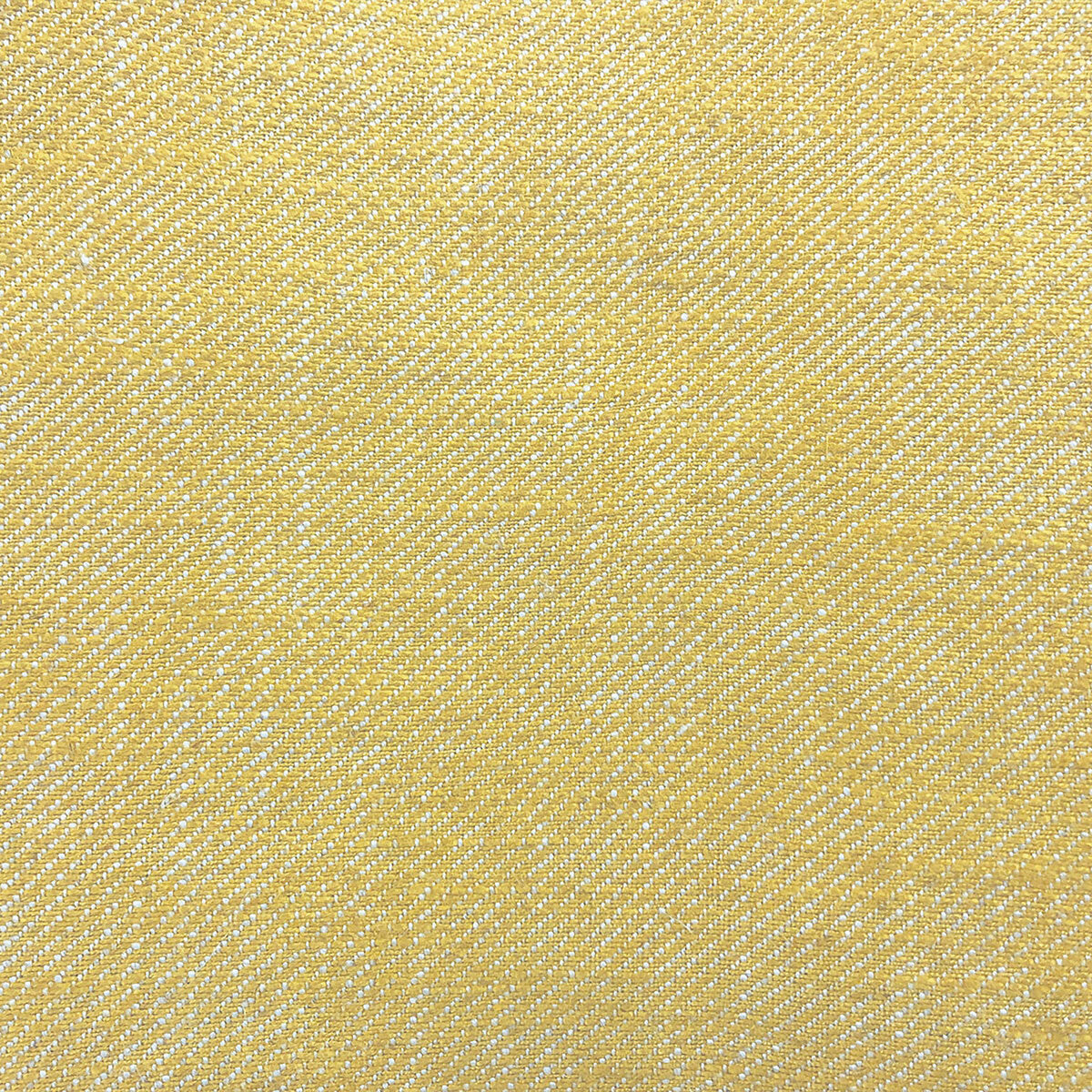 Hisa-Amarillo Claro