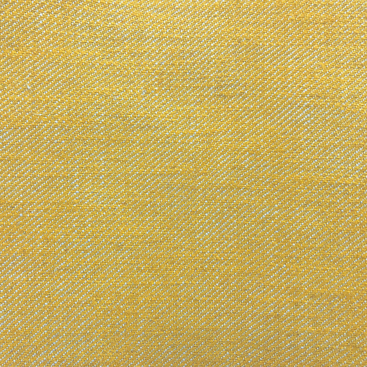 Hisa-Amarillo