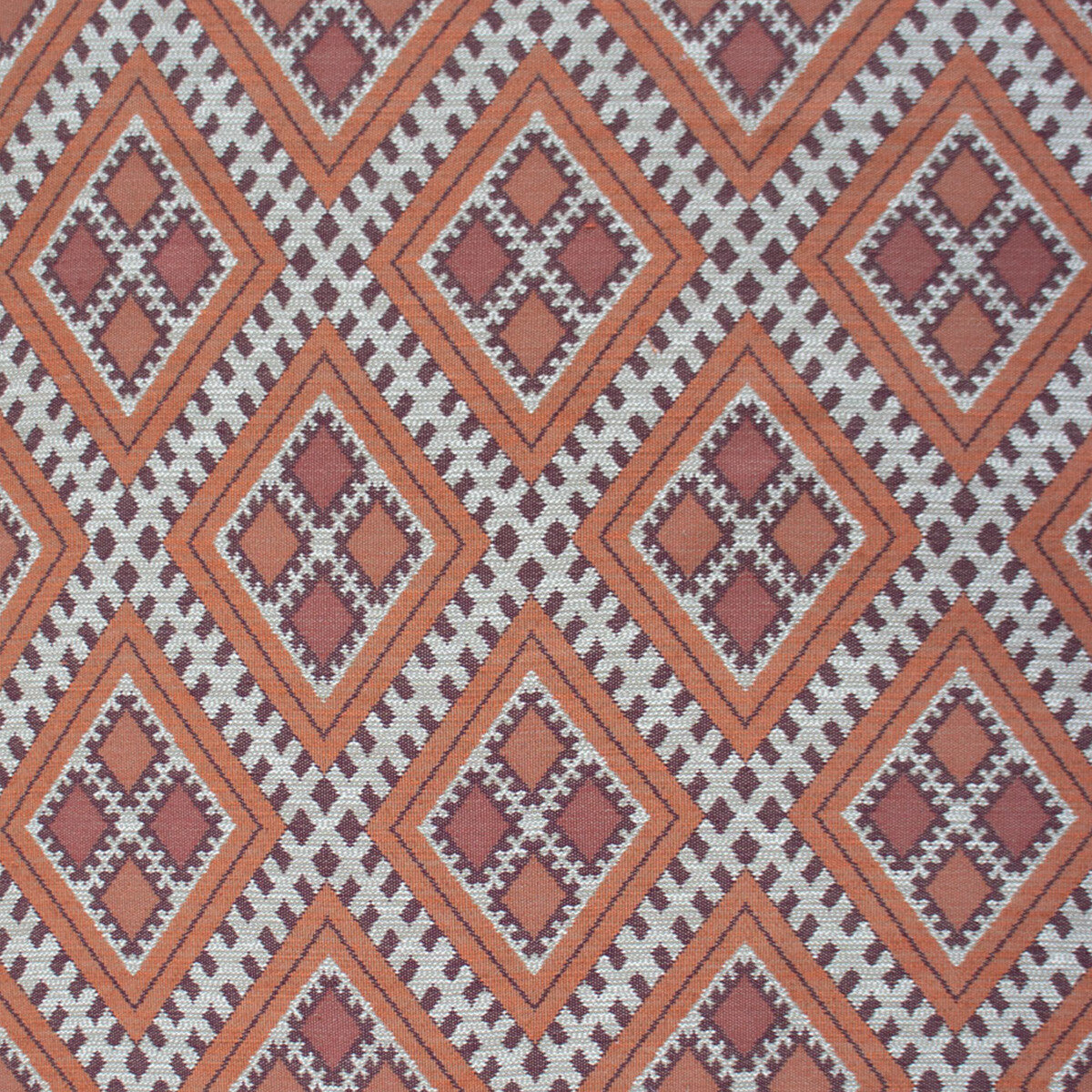 Chihuahua-Teja