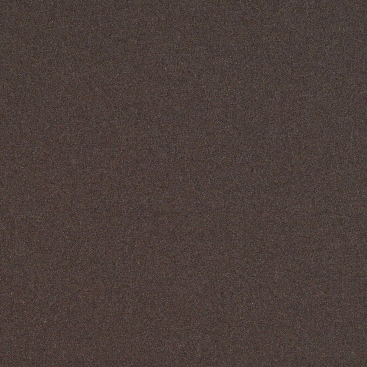 Wayne-Chocolate