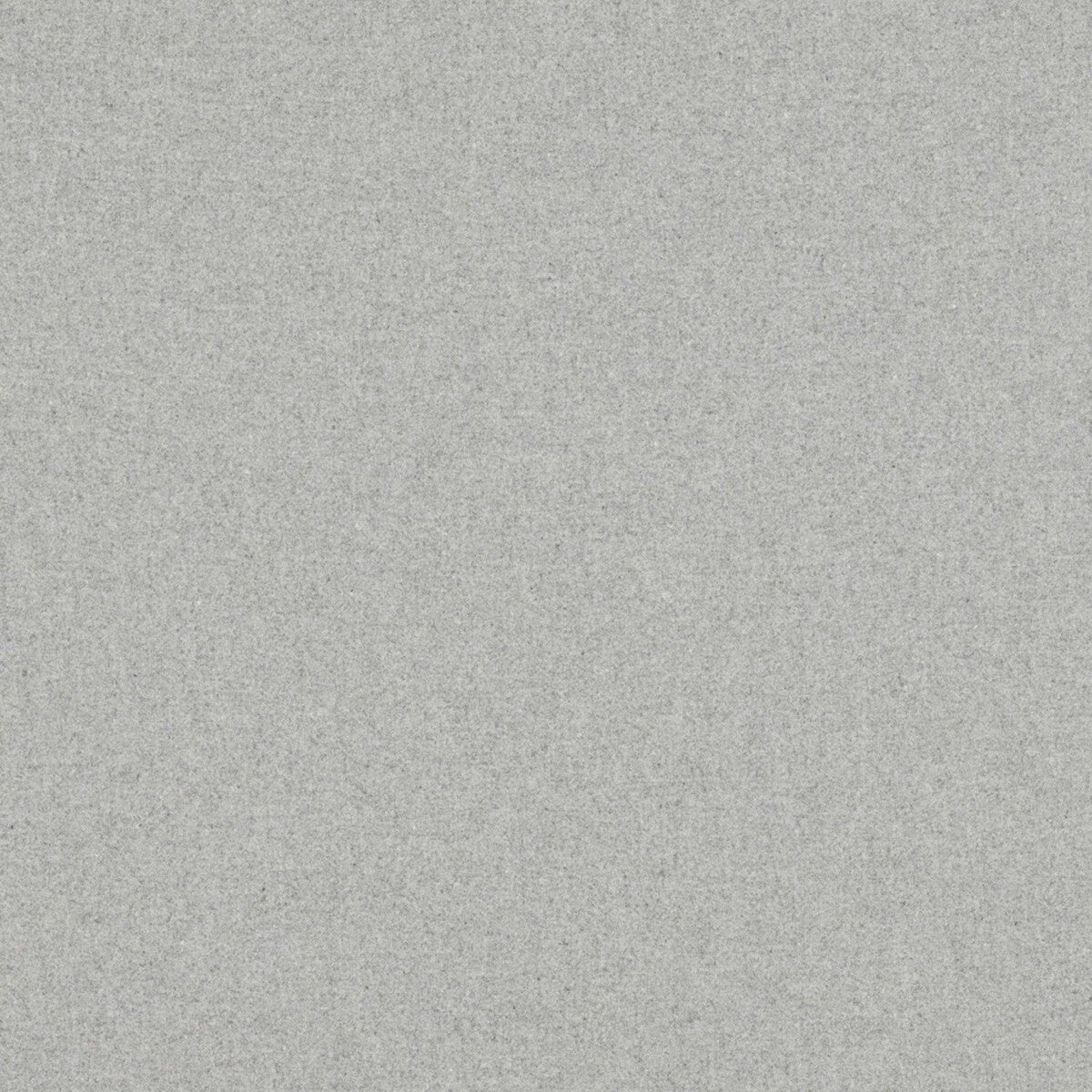 Wayne-Gris