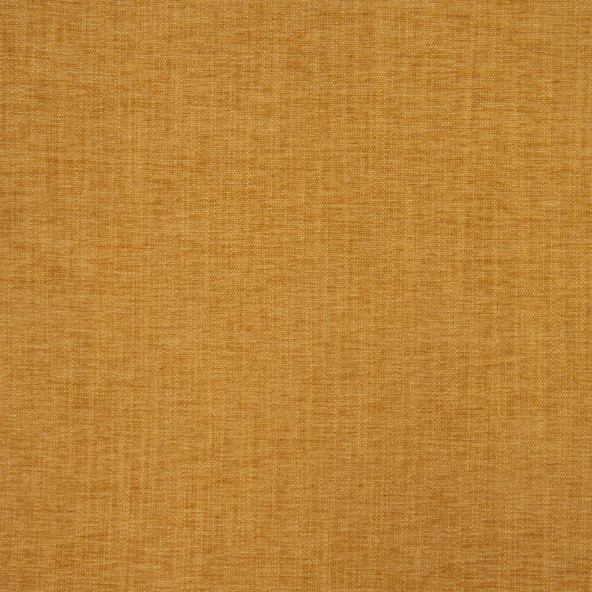 Moro-Ocre