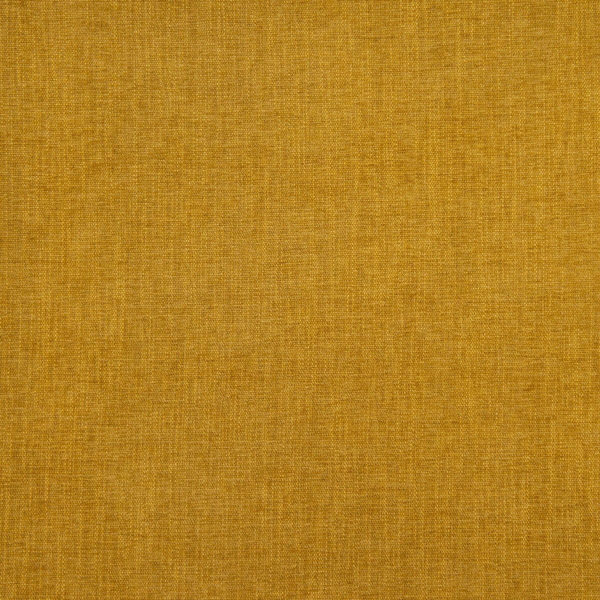 Moro-Oro Viejo
