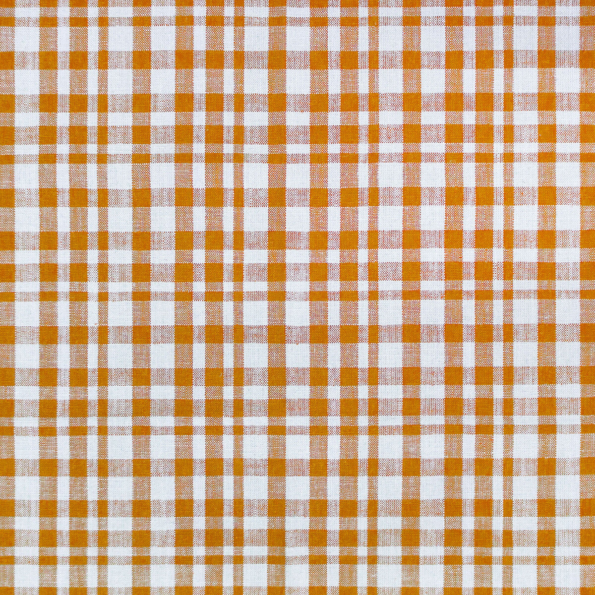 Drach-Blanco/Ocre