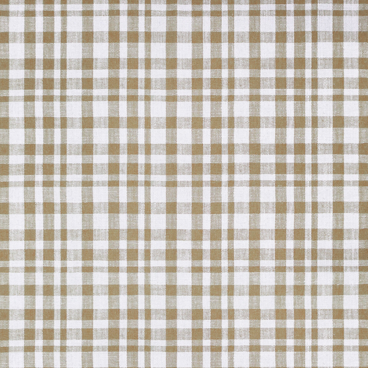 Drach-Blanco/Beige