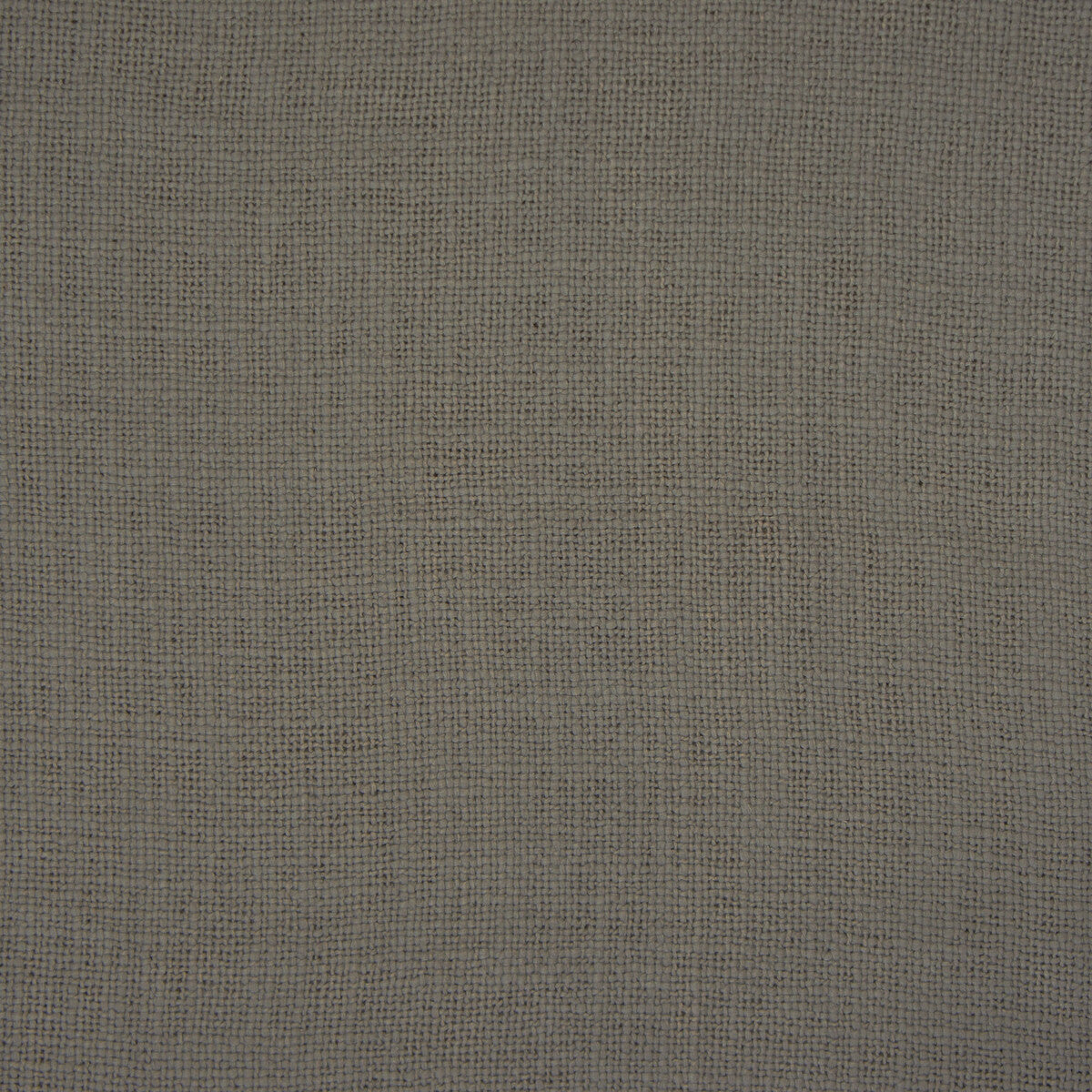 Bellver-Topo