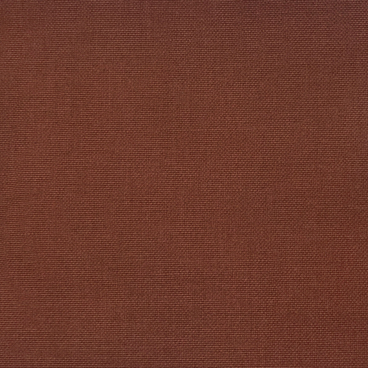Palma-Teja