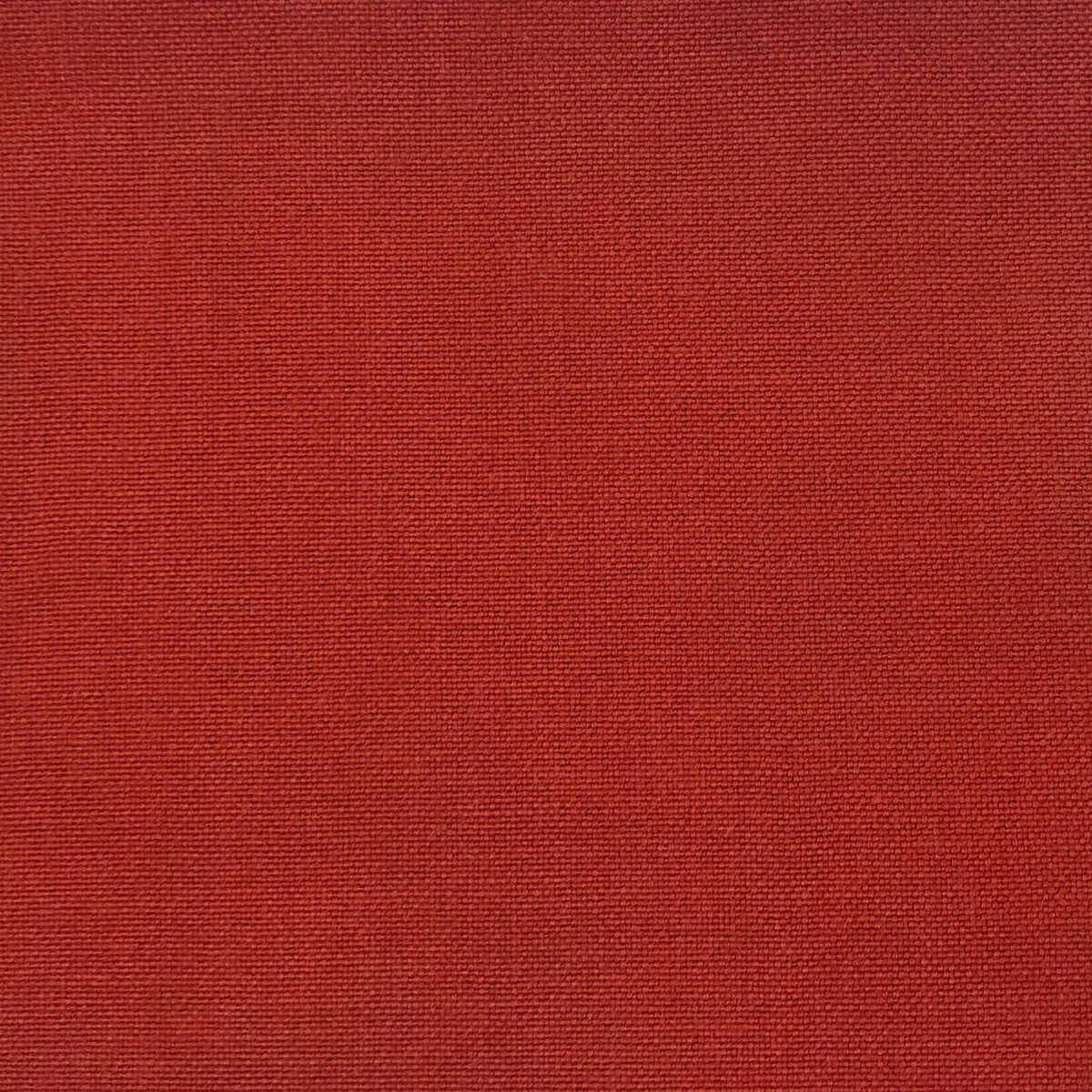 Palma-Coral