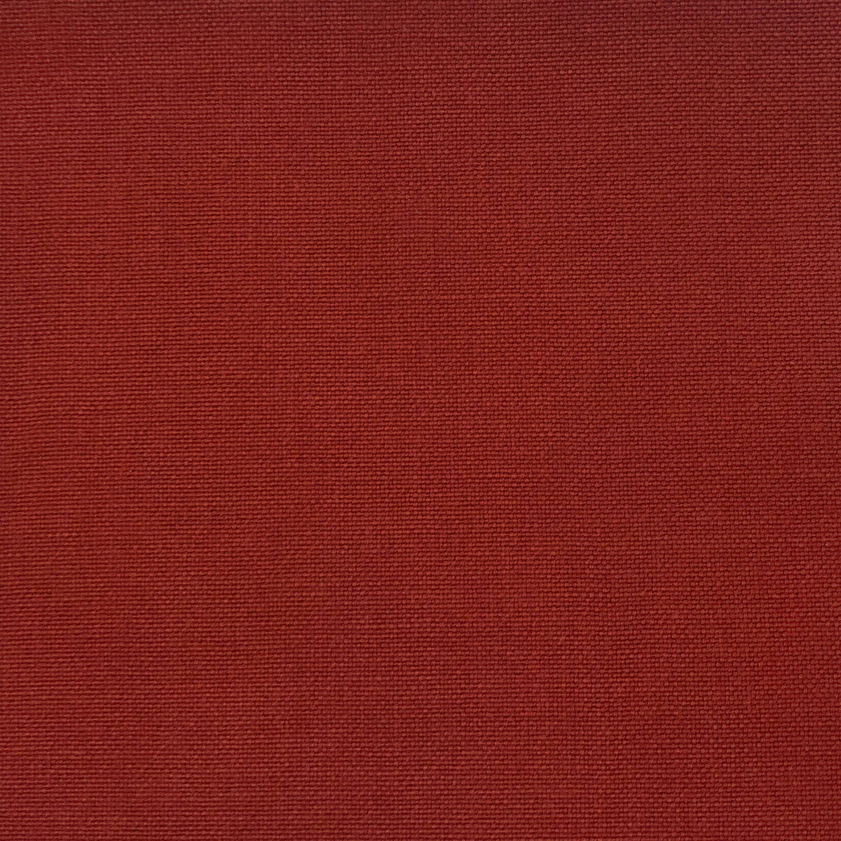 Palma-Rojo