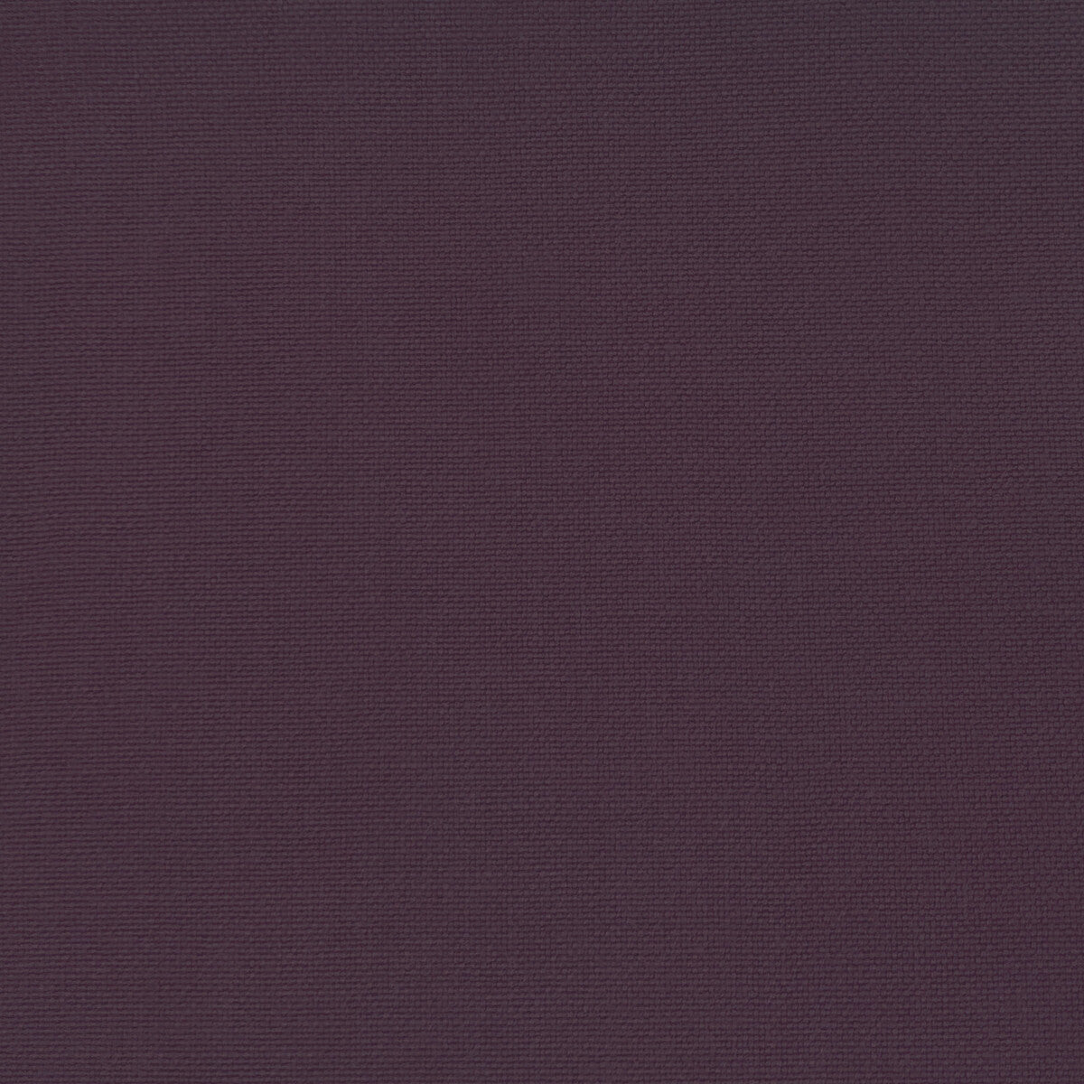 Palma-Morado