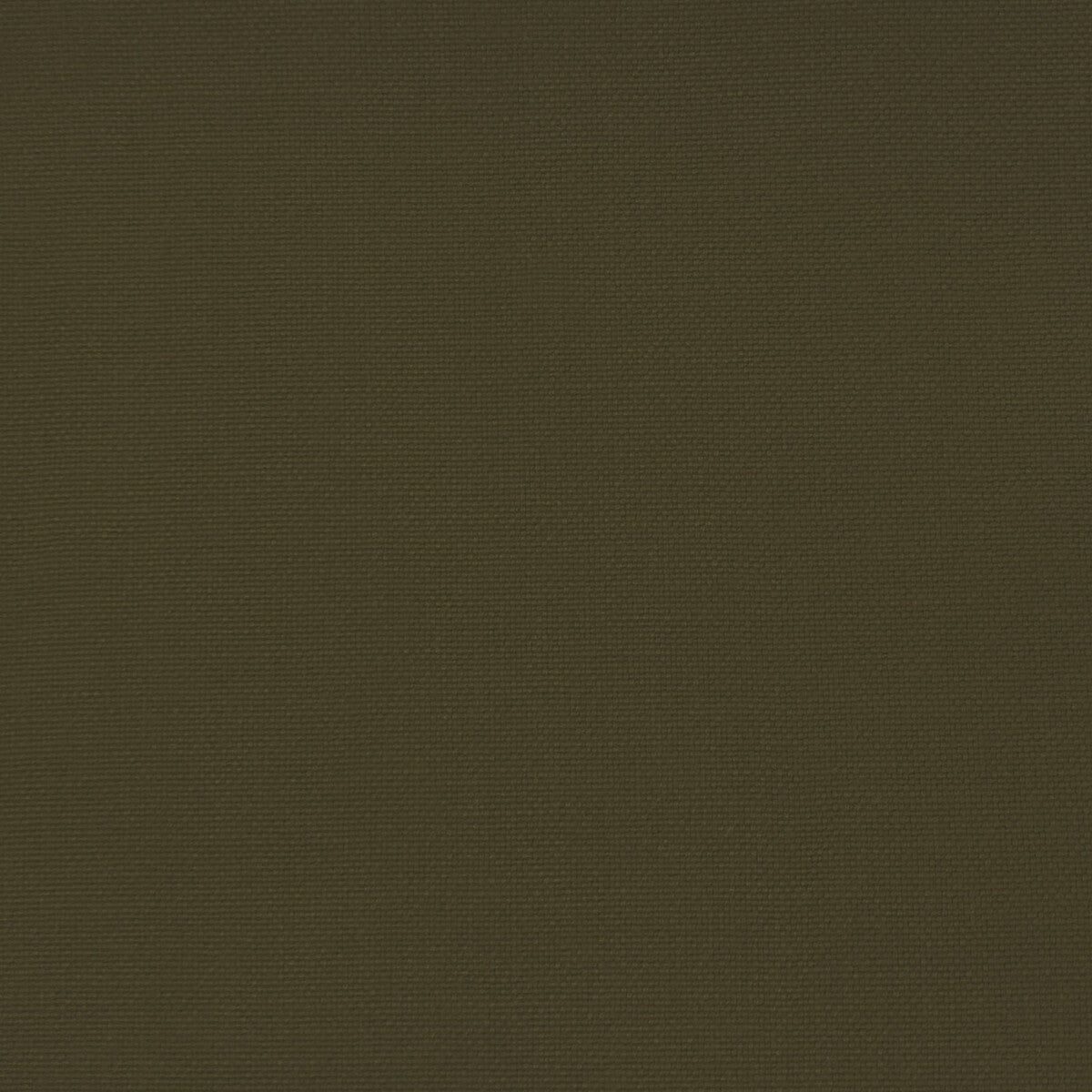 Palma-Verde Musgo