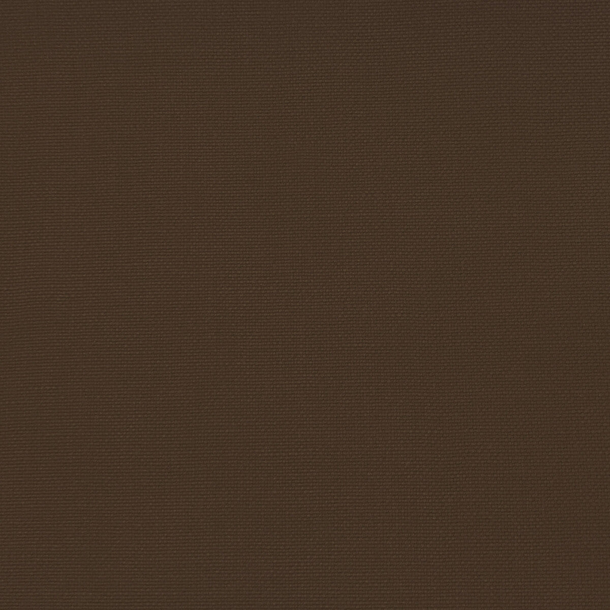 Palma-Cacao